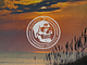 Immortal Creations apparel beach branding immortal ocean skull